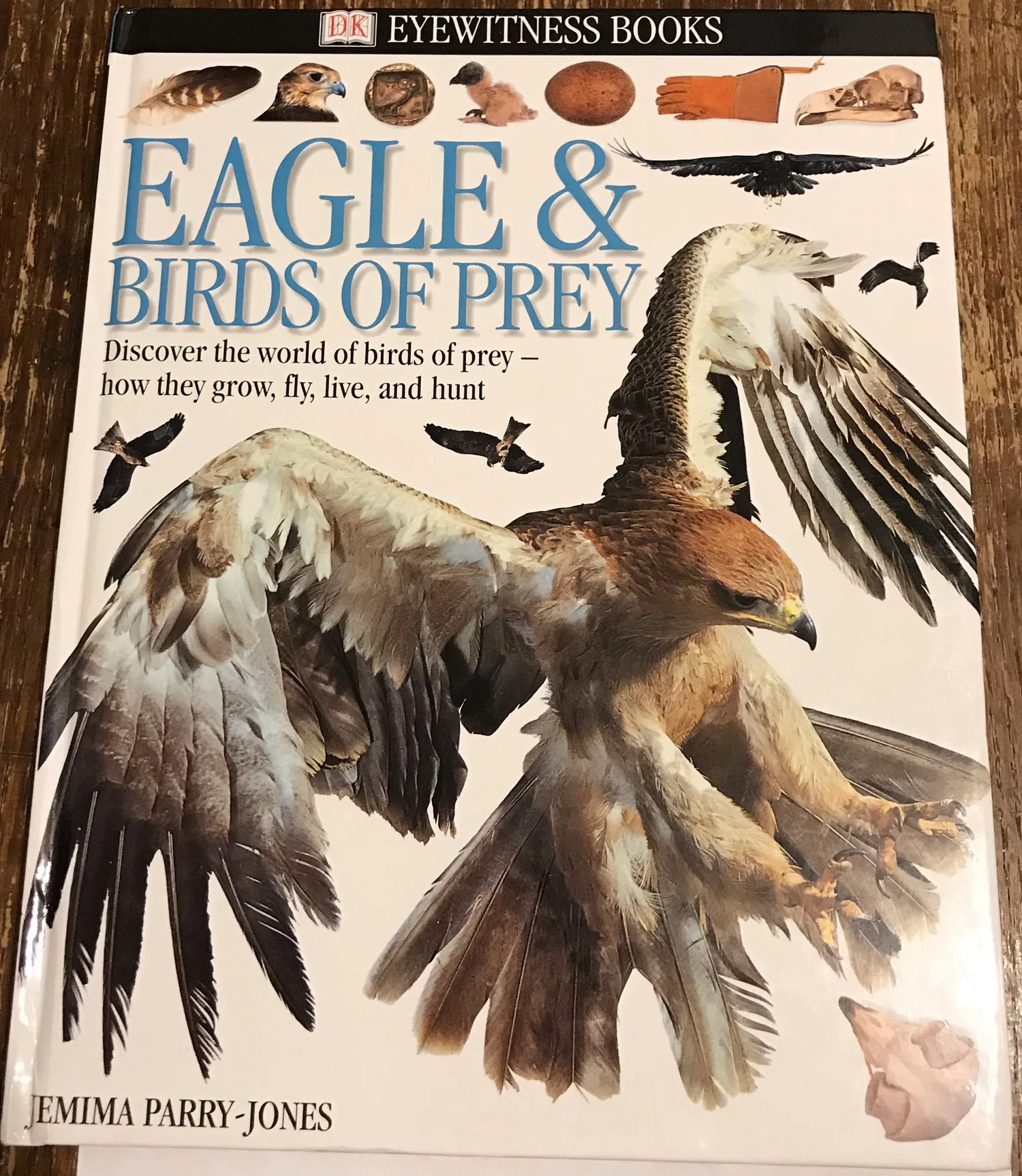 洋書 TRAINING BIRDS OF PREY JEMIMA PARRYJONES Training Birds of Prey - Paperback, by Parry-Jones Jemima